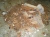 DSCN2276.JPG