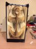 IMG-20161006-WA0006.jpg