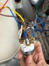 IMG_6876.jpeg