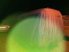 20170401_205459.jpg