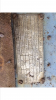 IMG_6998.PNG IMG_6998.PNG