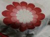 20181103_001057.jpg