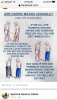 007B516C-7E39-4CB9-A272-4A94E93B3CEE.png