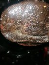 IMG_20230506_200739.jpg