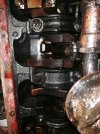 IMG_20230506_200732.jpg