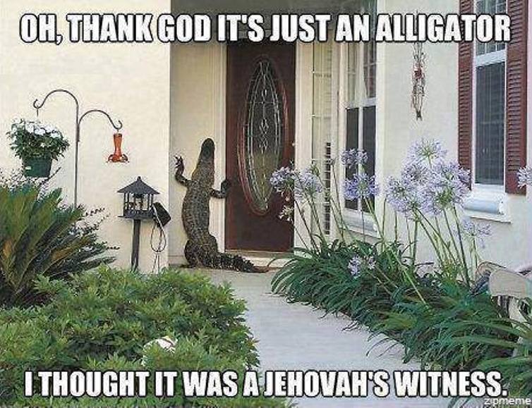 201471115132_witnesses.jpg